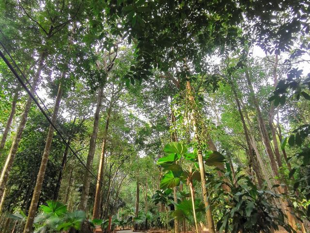 Taman Botanikal Melaka 🍃