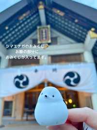 【北海道 帯広】シマエナガの御朱印とおみくじがかわいい⛩️帯廣神社