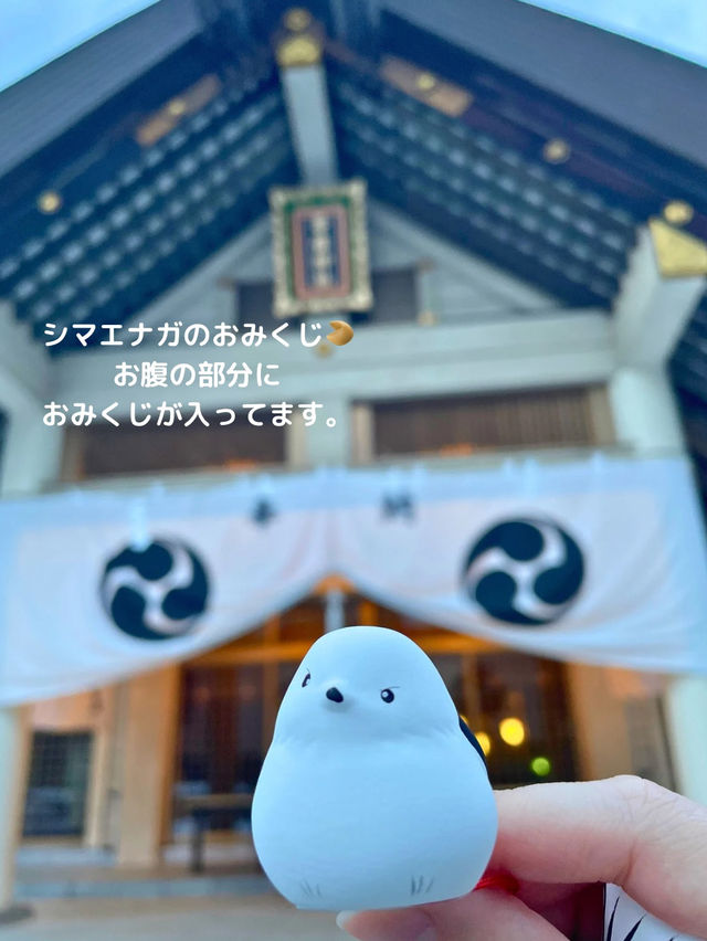 【北海道 帯広】シマエナガの御朱印とおみくじがかわいい⛩️帯廣神社