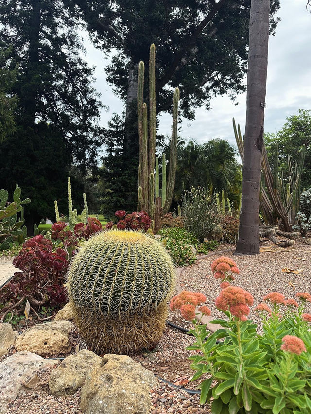 Admiring Colourful Flowers at Botanic Garden