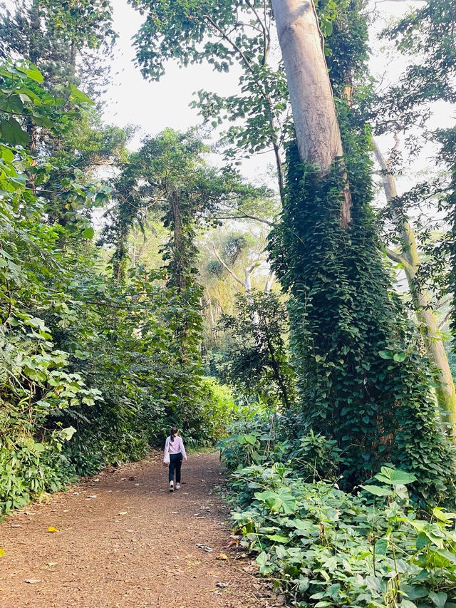 หัดเดินป่าที่ Manao falls Trail 