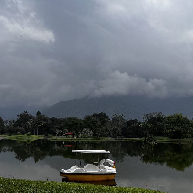 Taiping - Raintree walk