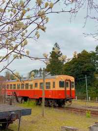 【千葉】9割が知らない?!超穴場スポット🤎チョコレートカラーの足湯のあるレトロ駅