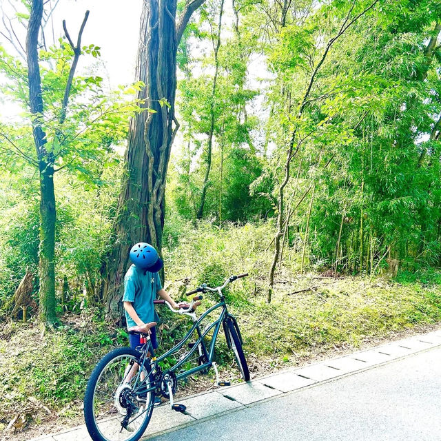 大自然でサイクリング【大分県由布市】