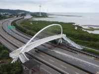 Impressive Harp-Shaped Bridge