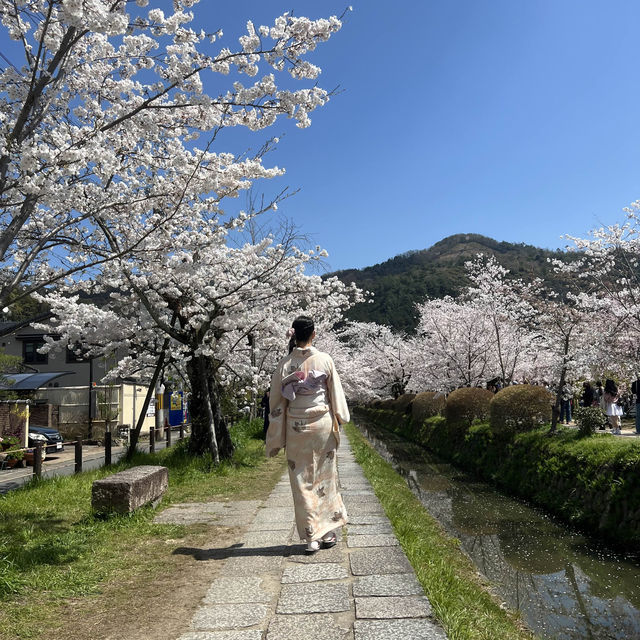 京都 哲學之道