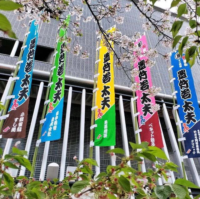 春の大阪旅行🌸日本伝統芸能を体験しよう✨