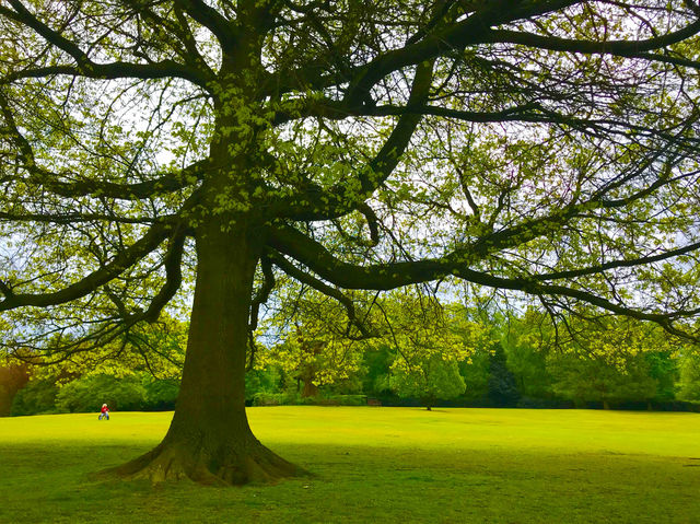 Enchanting oasis in the heart of London🏴󠁧󠁢󠁥󠁮󠁧󠁿