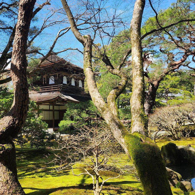 如詩如畫的京都銀閣寺🕍