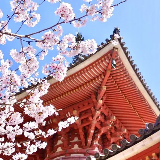 Mystical Serenity: exploring the floating Torii Gate! 🏯✨🌊