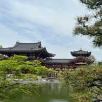 一趟心靈洗滌之旅-宇治平等院⛩️