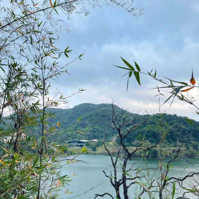 咖啡山森林保護公園：原生態環境、豐富生物、戶外活動，親近大自然