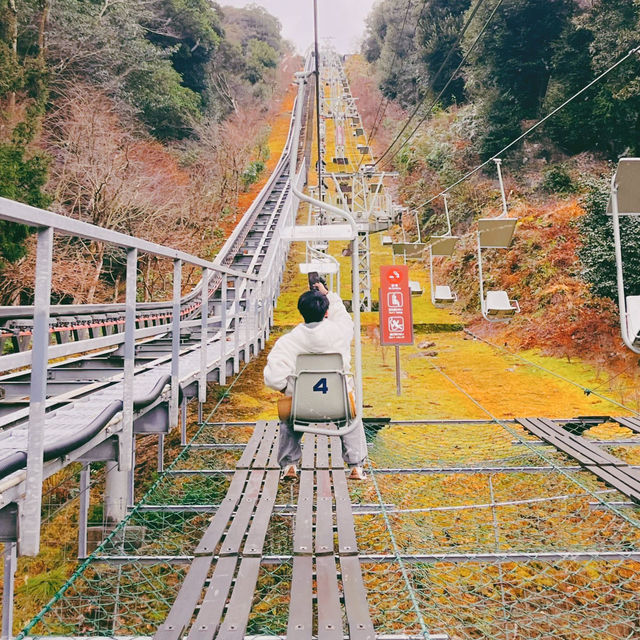 探索絕美天橋立之旅-海之京都的網海纜車體驗