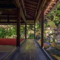 芥川櫻堤公園：城市綠洲，感受大自然之美
