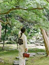【兵庫県/出石】緑が美し過ぎる自然に囲まれたお寺
