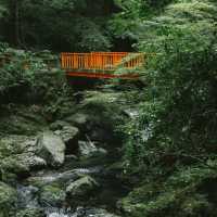 「山形十五軒公園：浪漫櫻花林，市民遺產」
