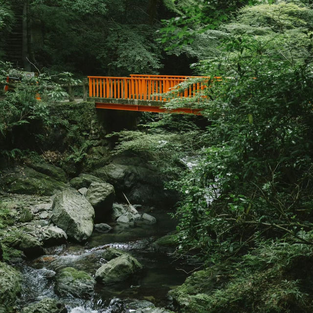 「山形十五軒公園：浪漫櫻花林，市民遺產」