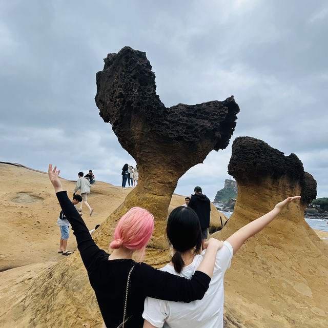 대만 여행 지금이 절호의 찬스!