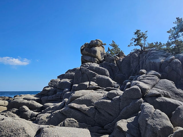Amazing Rocks Form