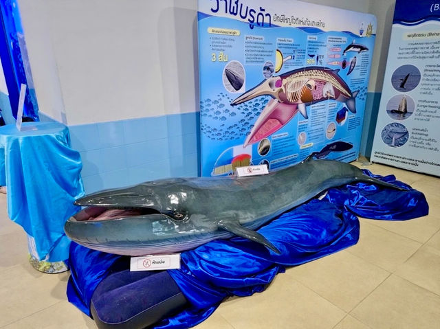 Samut Sakhon Aquarium