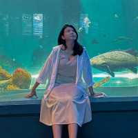 RAYONG AQUARIUM  