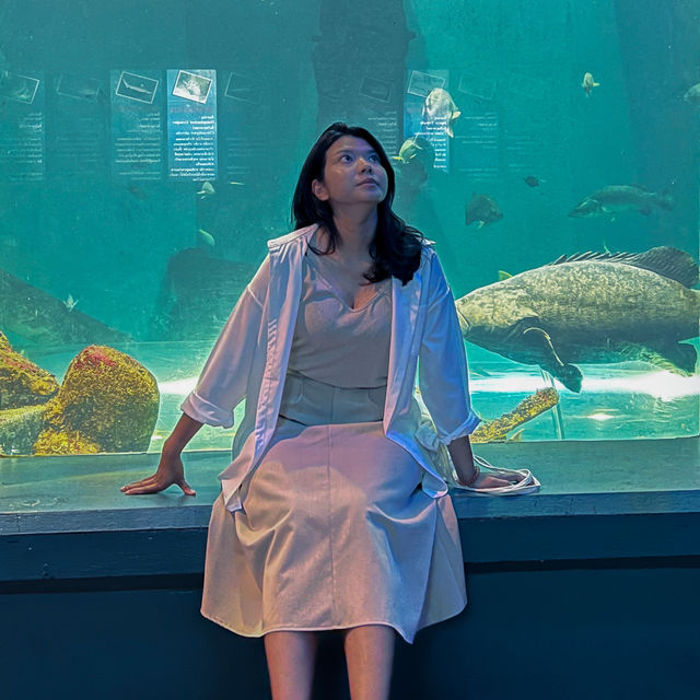 RAYONG AQUARIUM  