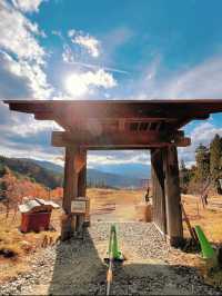 【山梨】神社好きは絶対行くべき🤍その名も天空の鳥居