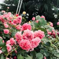 鶴舞公園