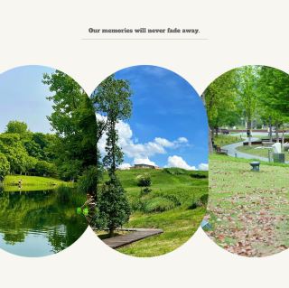 高雄都會公園：湖光山色，高雄市民的綠色肺腑