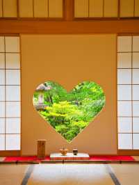 【京都】これからのシーズンに行きたい☀️雨でも映える風鈴スポット訪問完全攻略🎐