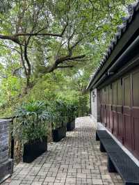 The Beautiful Scenery of Tsz Shan Monastery in Hong Kong