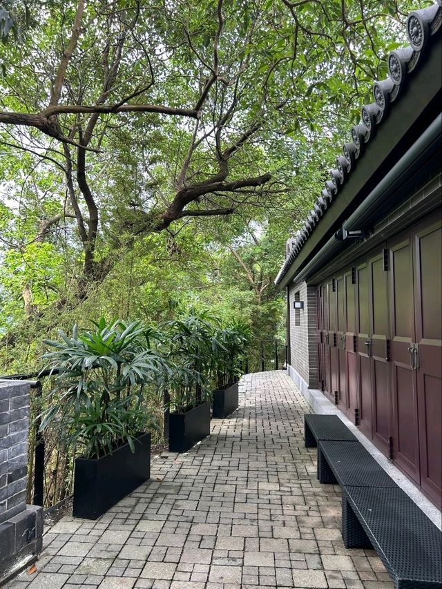 The Beautiful Scenery of Tsz Shan Monastery in Hong Kong