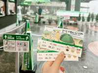 【伊豆大室山】詩意靜岡、東京🗼近郊的難忘體驗