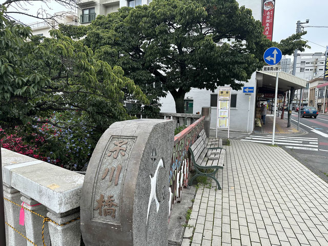 【🇯🇵東京近郊】熱海あたみ桜基準木，櫻花🌸迷必去‼️