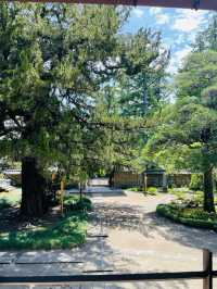 【神奈川県:北鎌倉】美しい庭園が広がる円覚寺　方丈