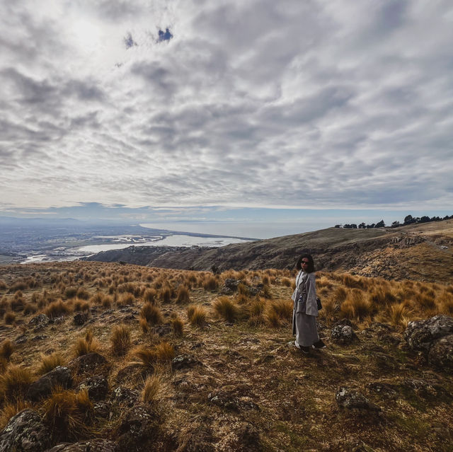NZ- Christchurch ☀️