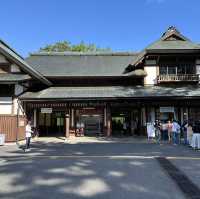 【日光】雄大な自然の景色！華厳の滝