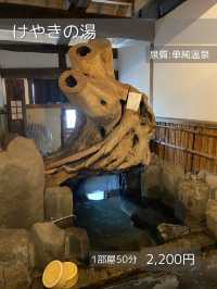 【大分/玖珠】超巨大！大木の下で入る温泉！