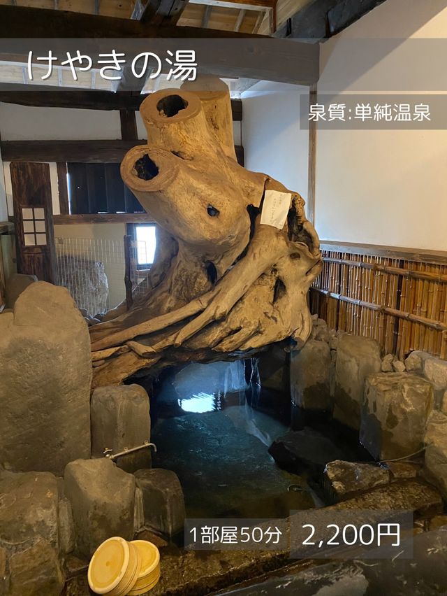 【大分/玖珠】超巨大！大木の下で入る温泉！