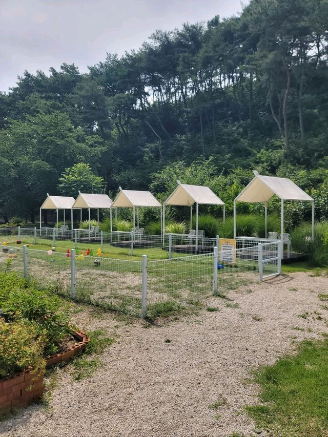 초록시즌에 꼭 가야할 함안카페💚