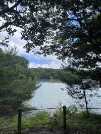 【福岡観光/自然】森林浴