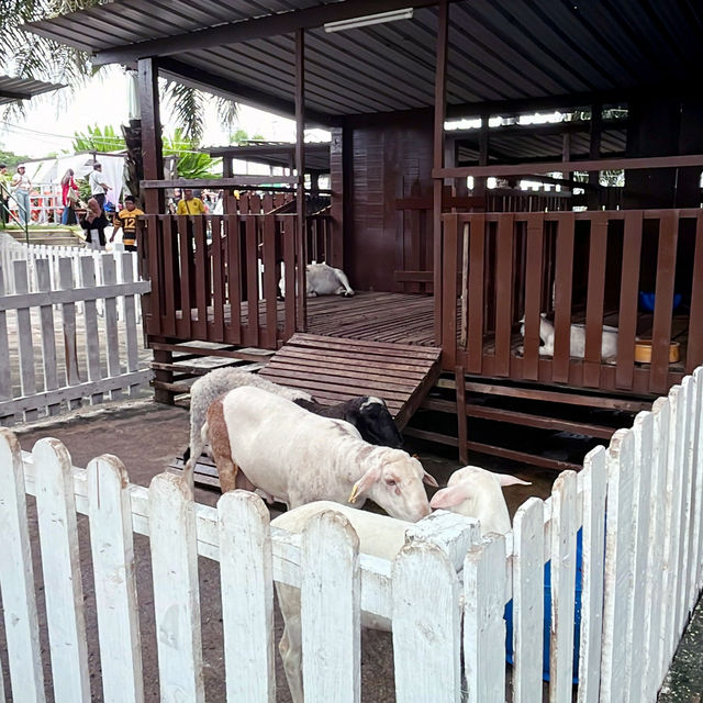 DESARU MINI ZOO