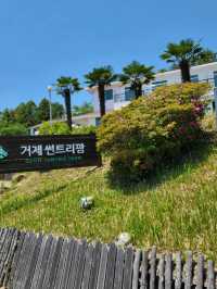 여름을 반기는 거제 수국명소 썬트리팜