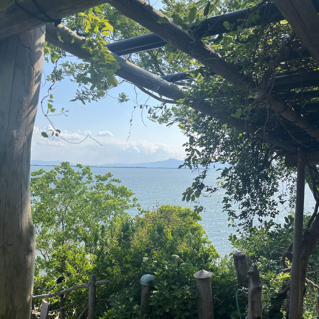 滋賀県アヒルに餌やりスポット