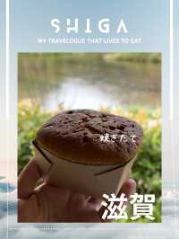 【滋賀観光】