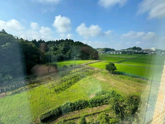 International Garden Hotel Narita