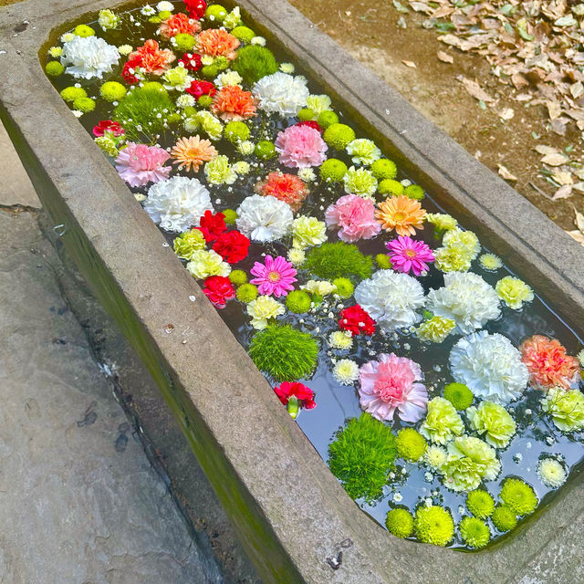 〜埼玉県〜珍しい薔薇の花手水🌹