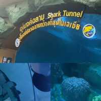 บึงฉวาก 🦈🐊🐟