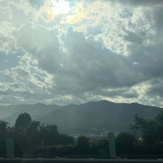 日本アルプス　高山植物
