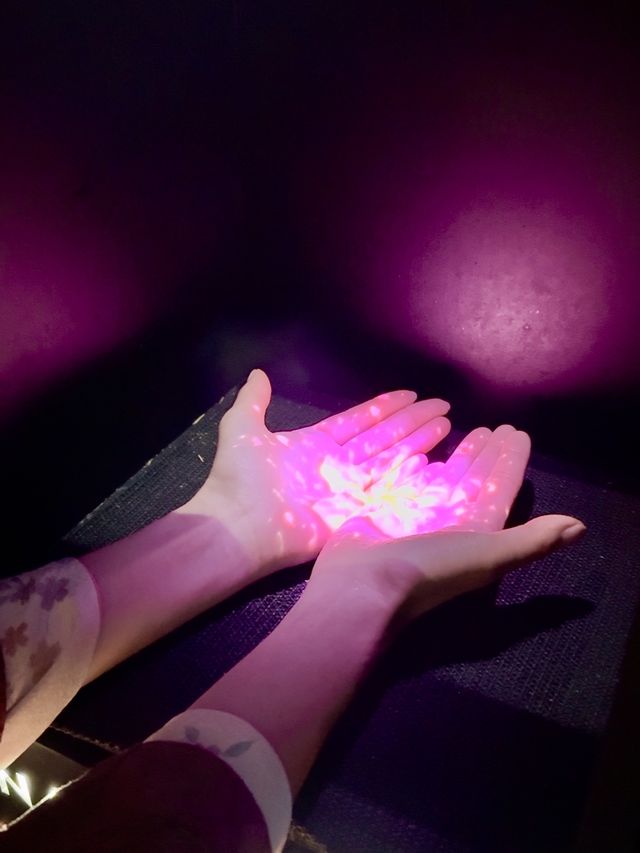 〜京都府〜ヨルモウデin平安神宮